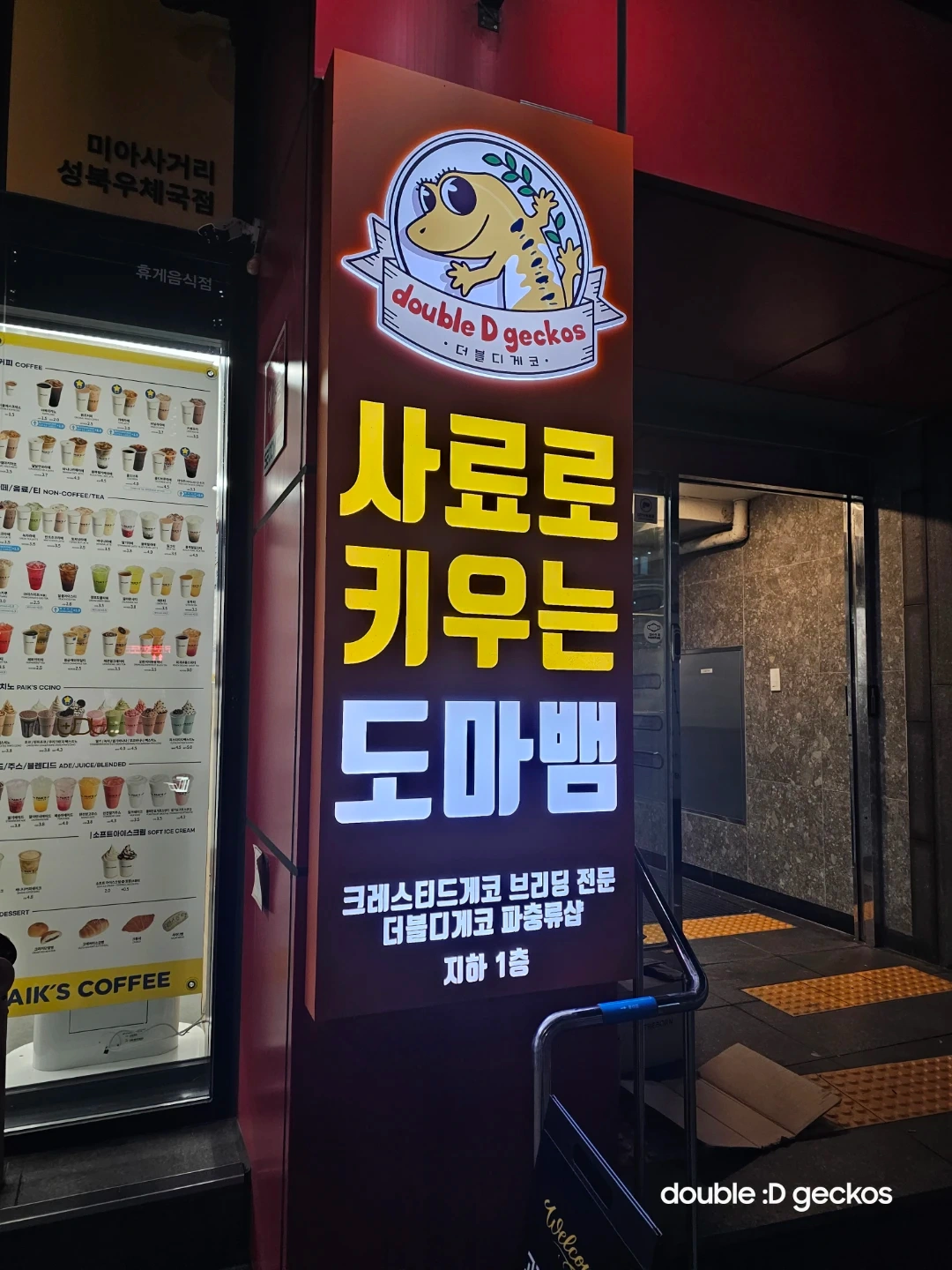 크레스티드게코 피딩 알바