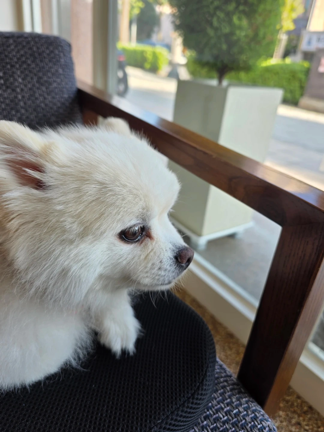 자동차 회사 사출 신입사원 모집해요~