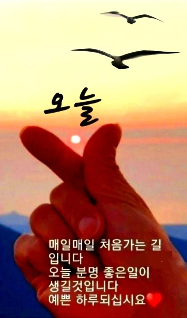 어린이통학차량 기사님