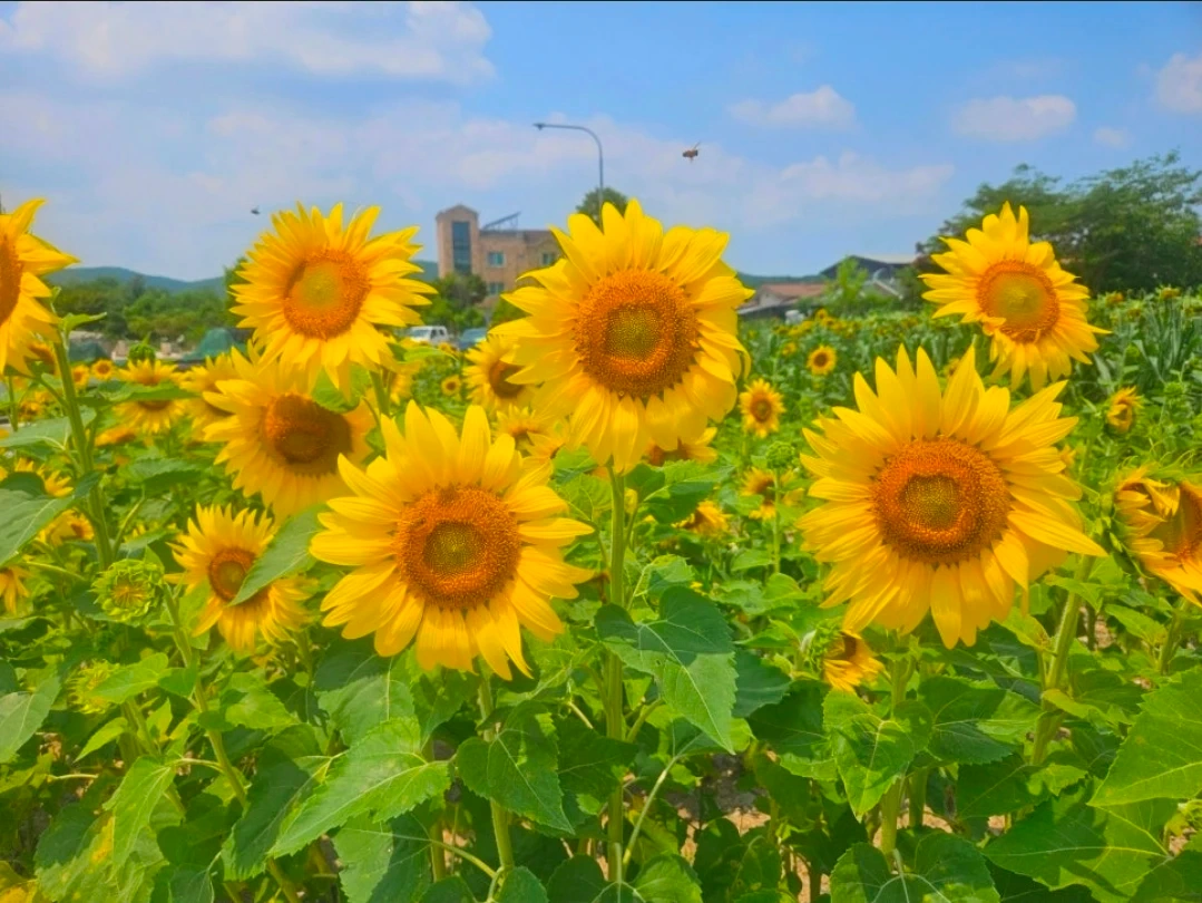 어린이집 연장선생님 모십니다.