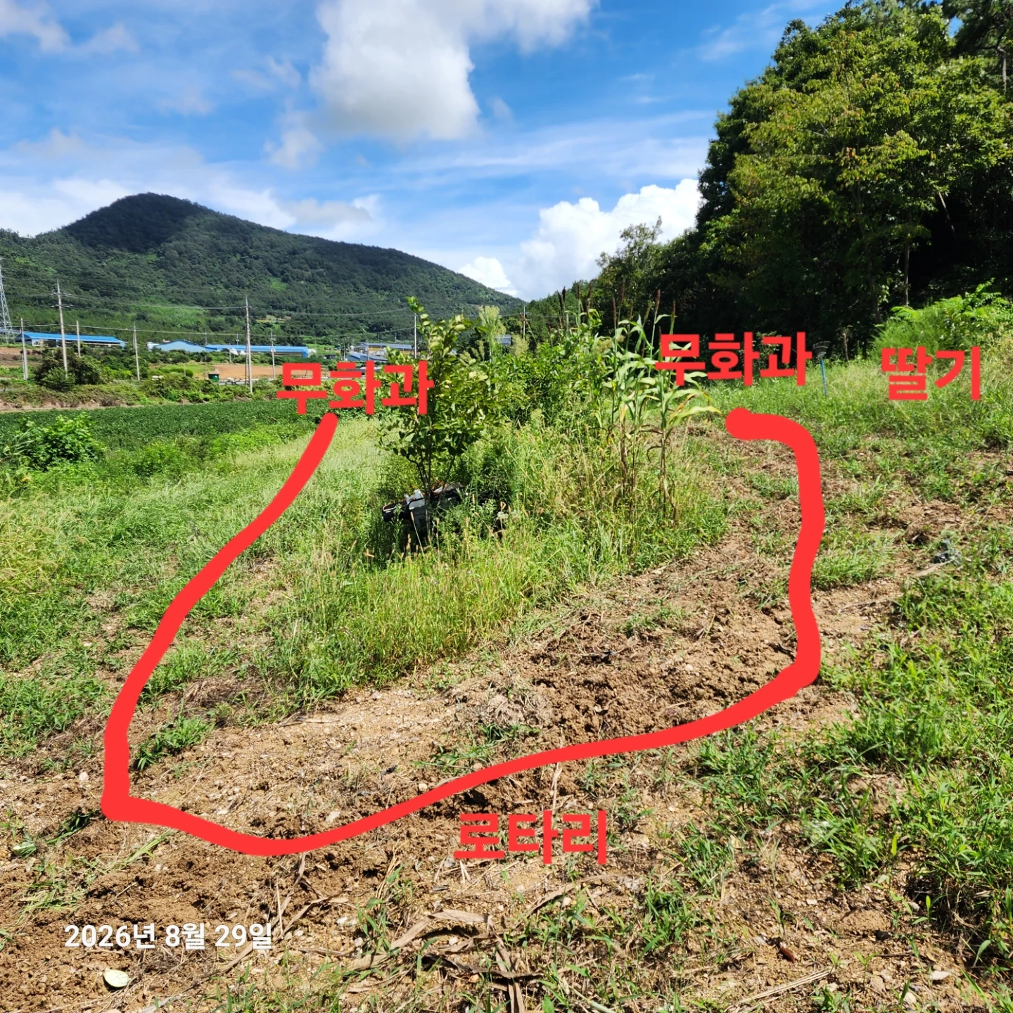 해남군 문내면 로타리 쳐 주실분 구함