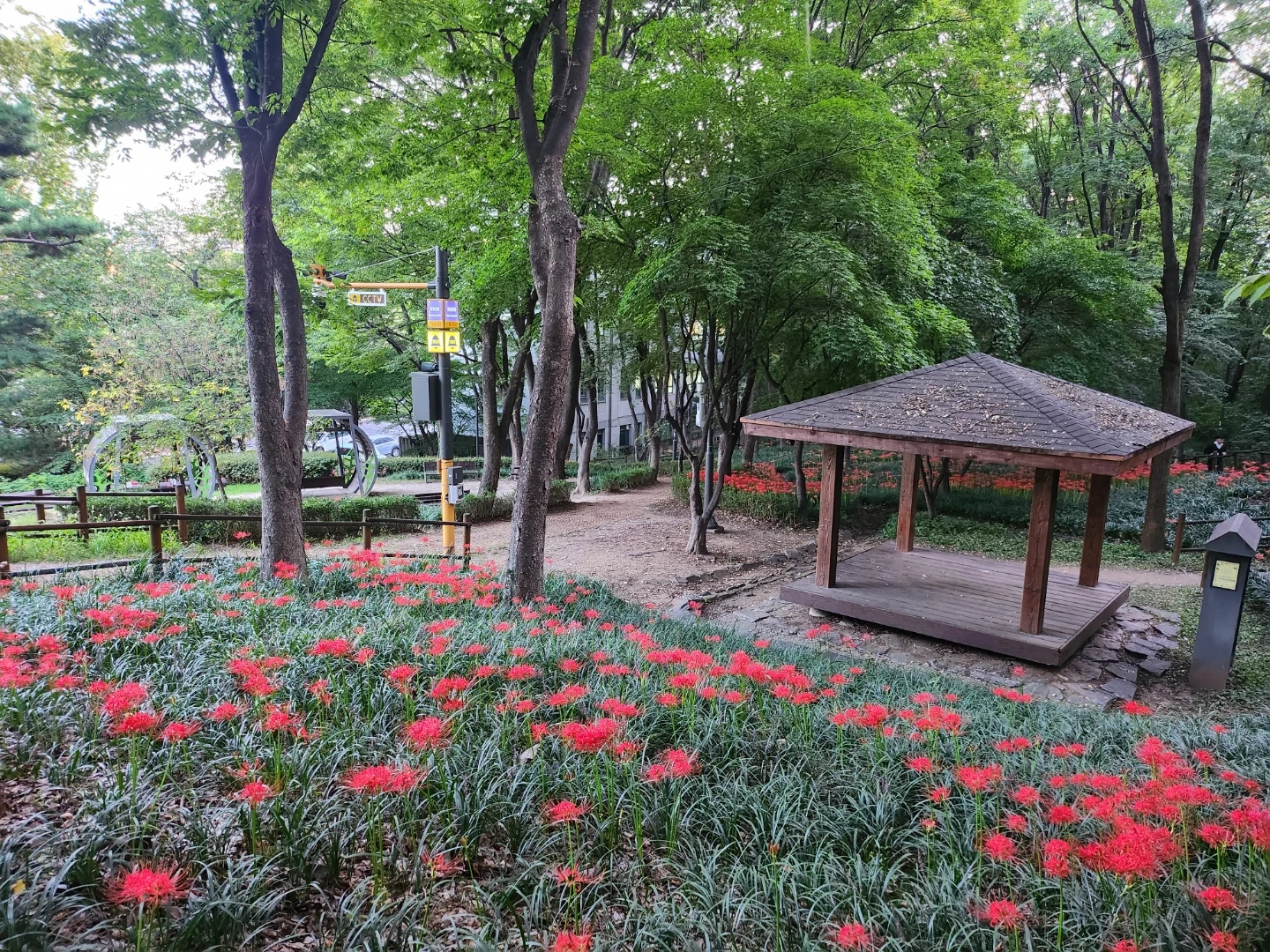 SAT 수학 도와주실 분 찾아요