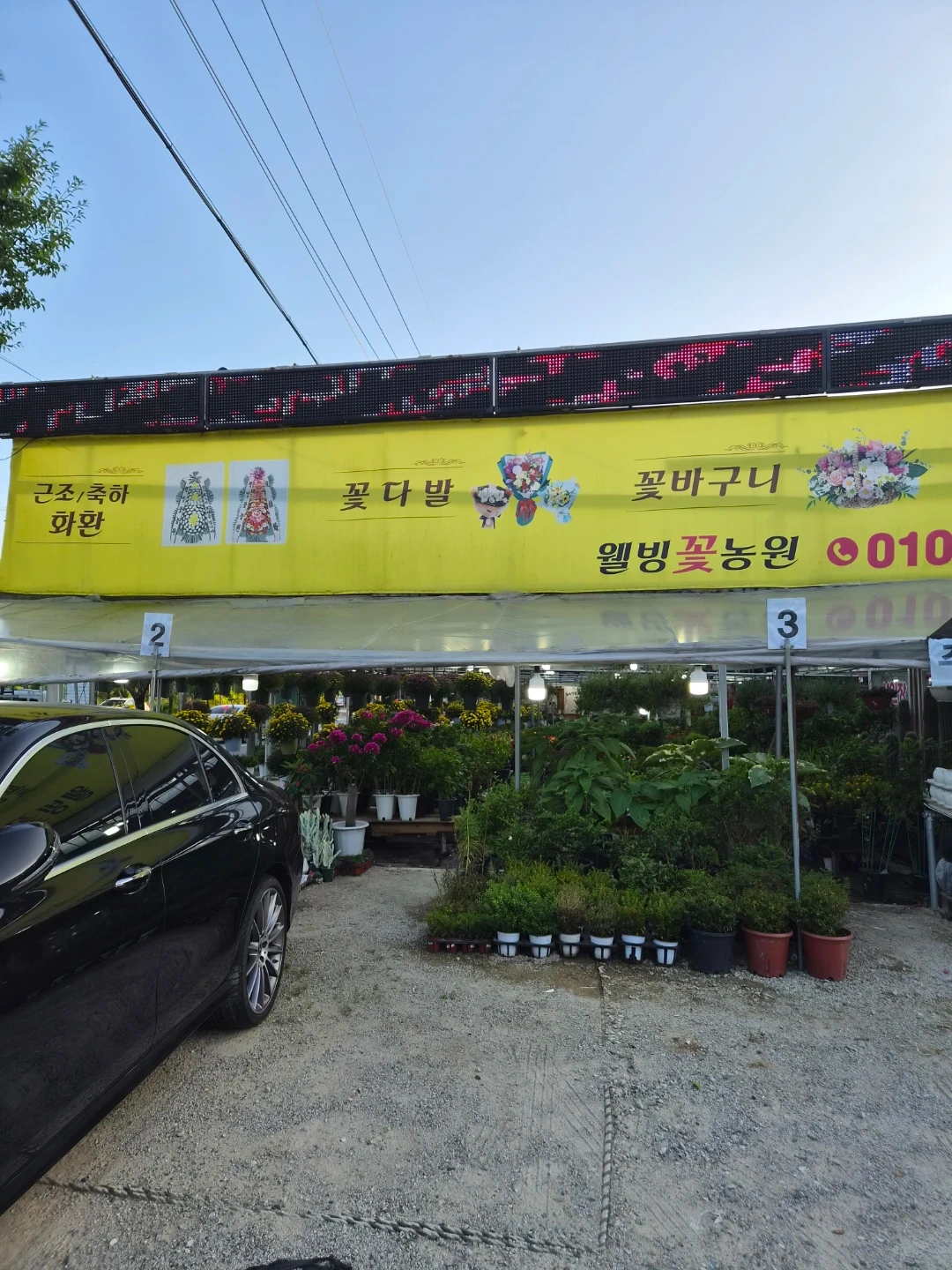 꽃집에서 함께하실분 찾아요