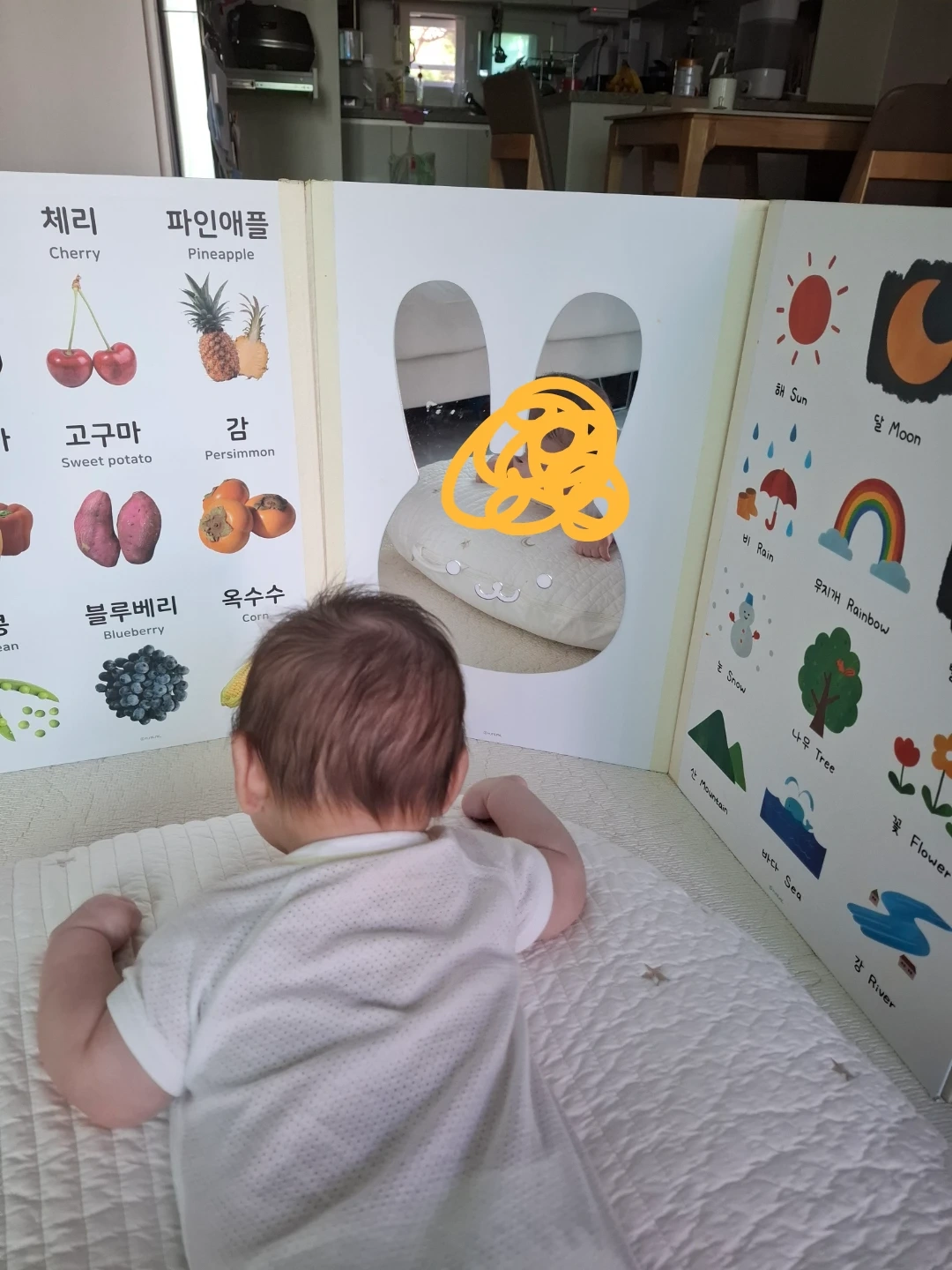 4개월 남아 돌봄 선생님 구합니다(단기 두달반)