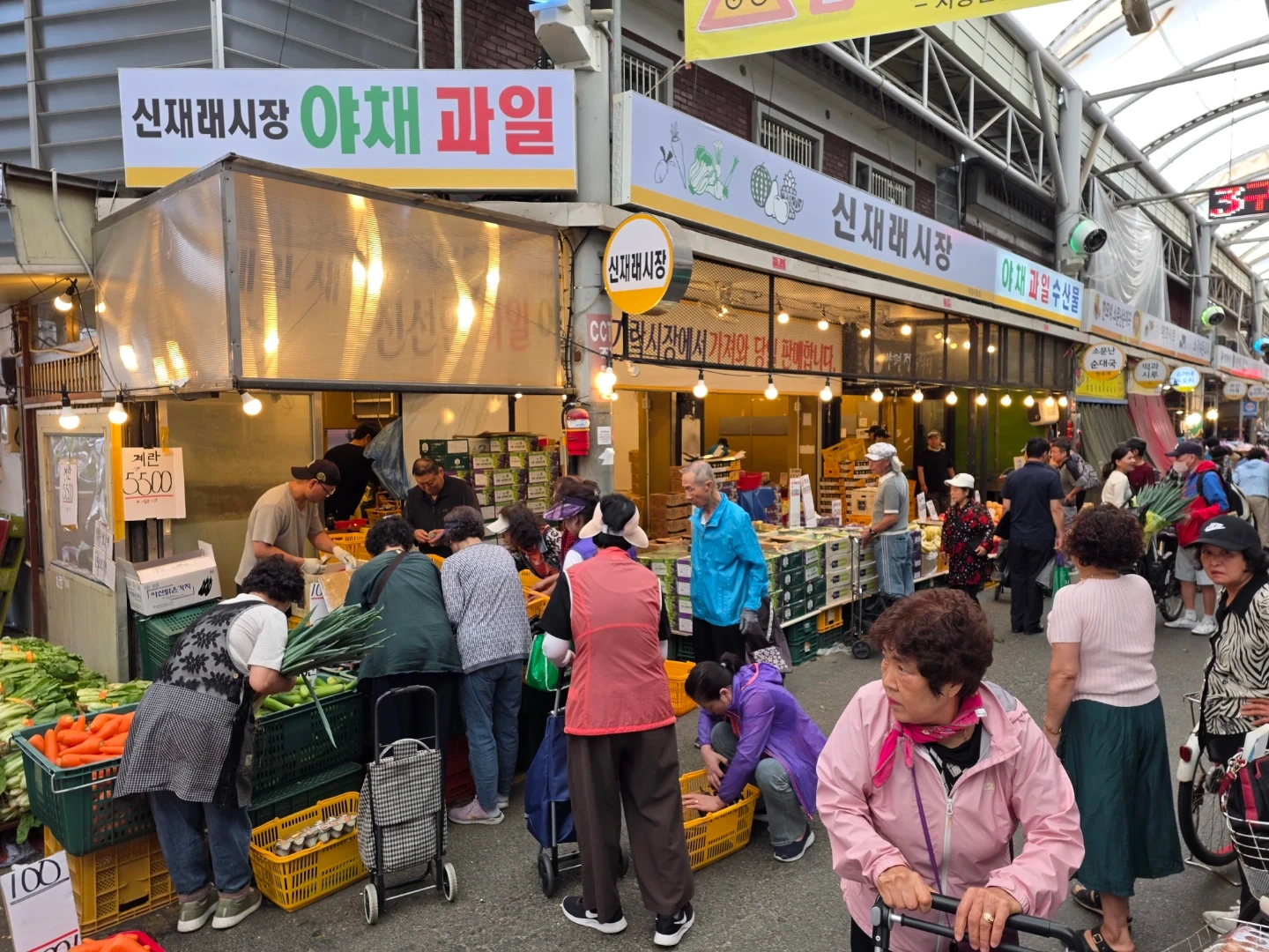 과일아채 판매 당일 알바
