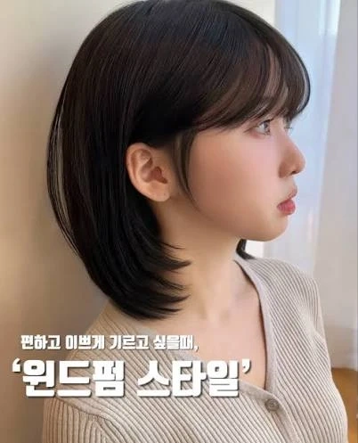 헤어모델 구합니다