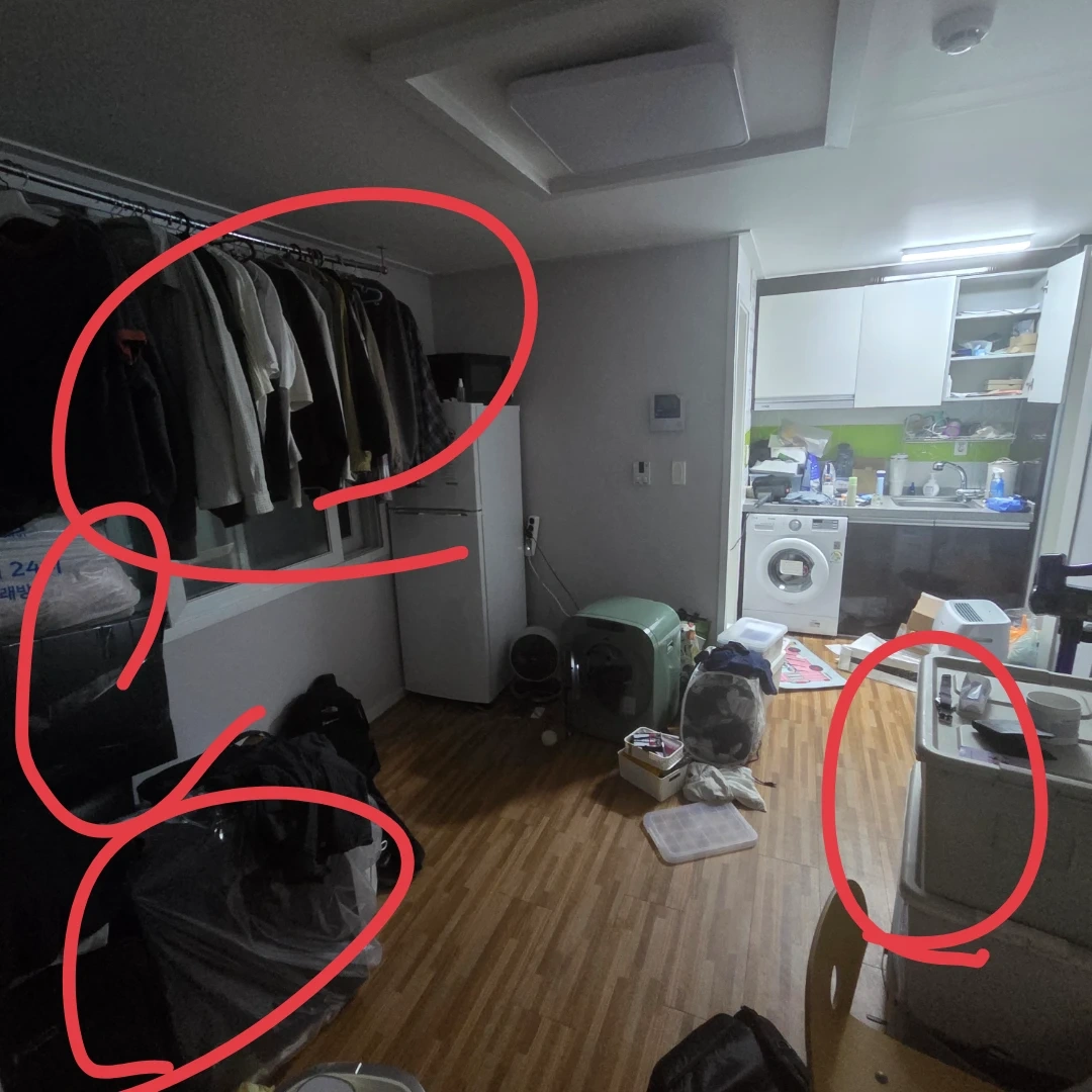 옷 정리 ? 청소 도와주실분!