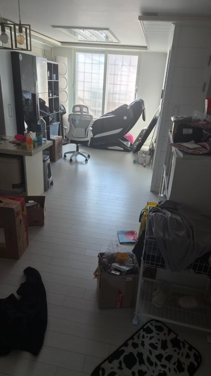 집안일 도와주실분
