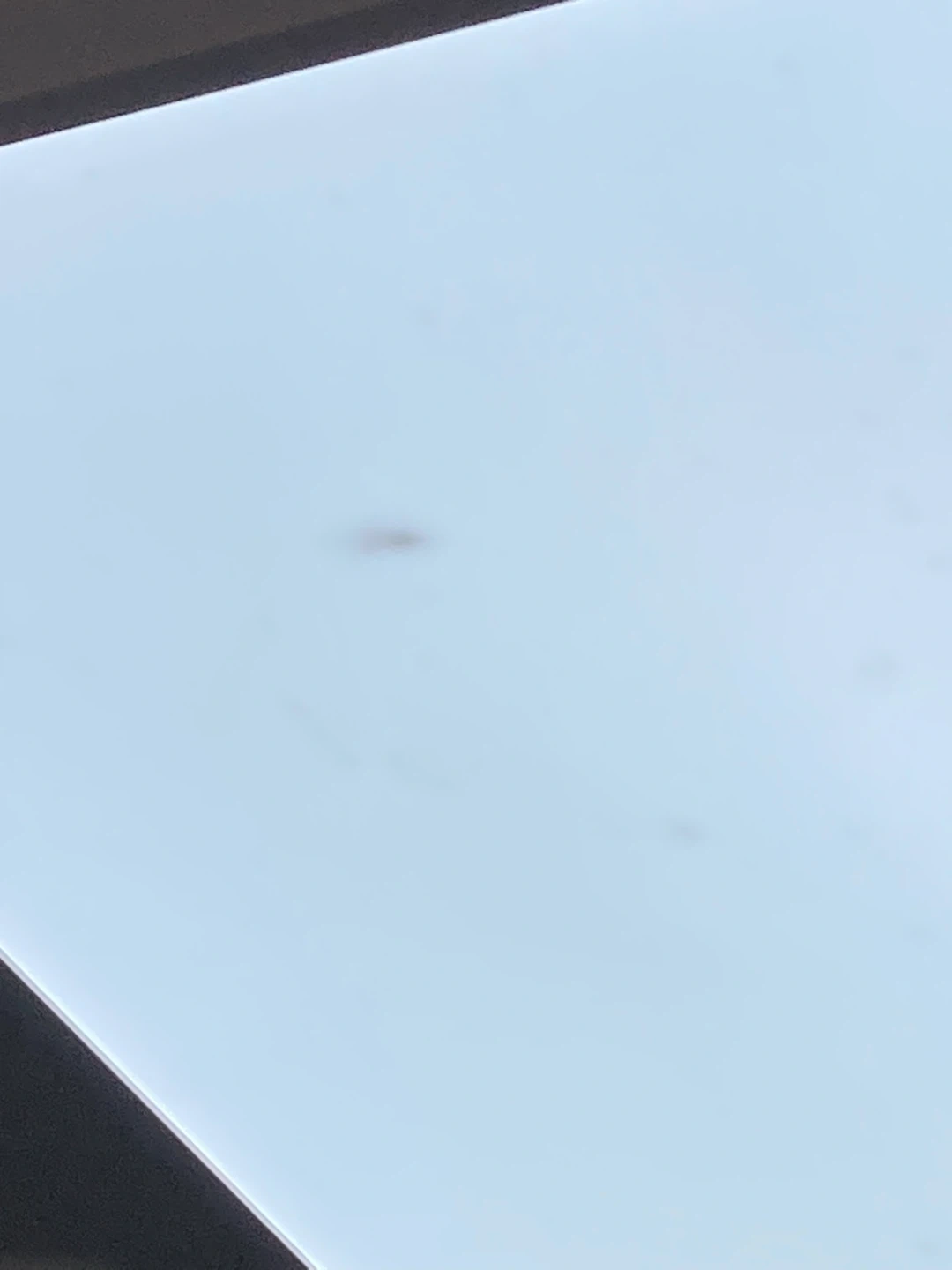 전등안 벌레 잡아주실분