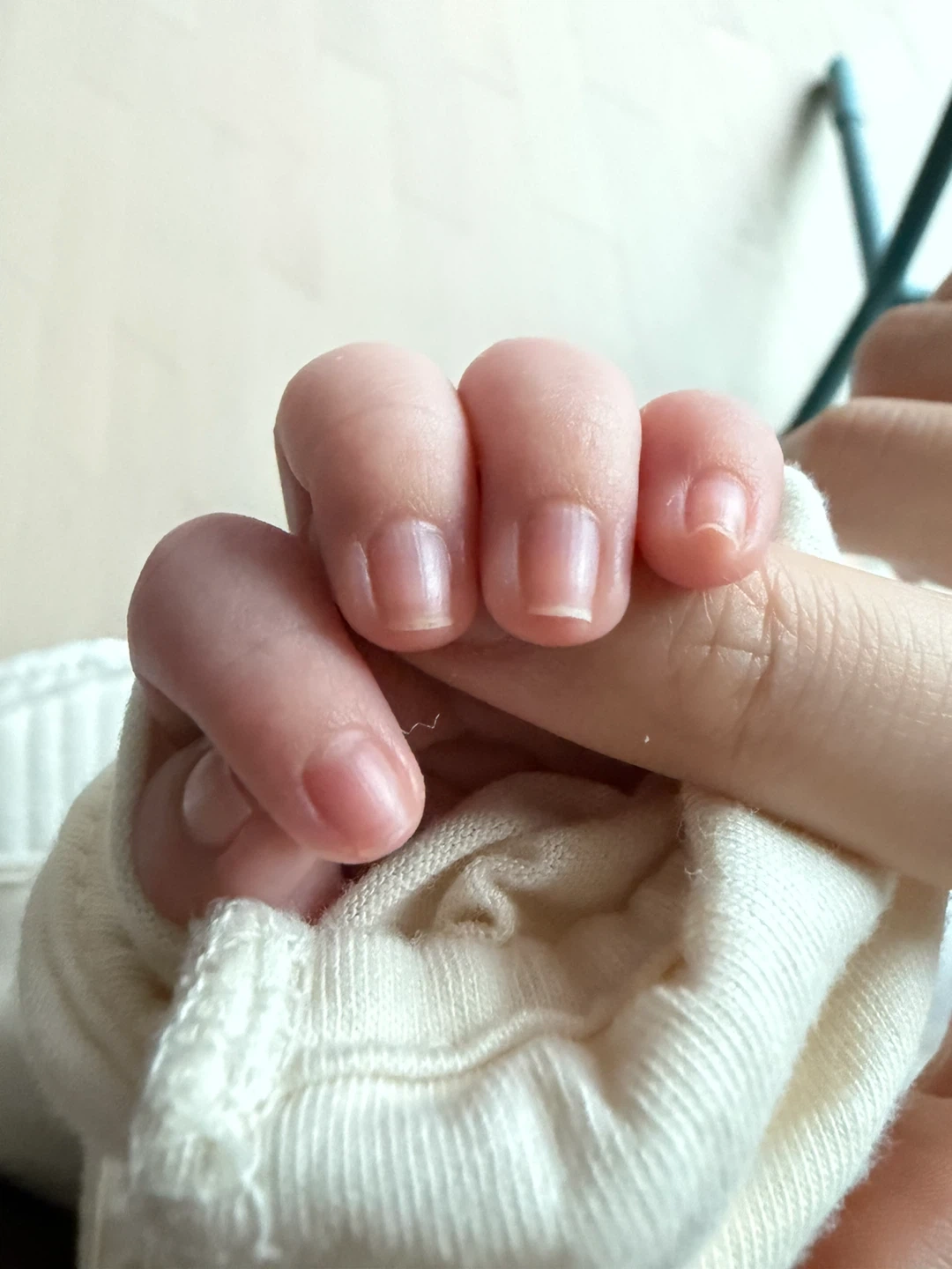 2개월 남아 돌봐주시고 요리해주실 시터님 구합니다.