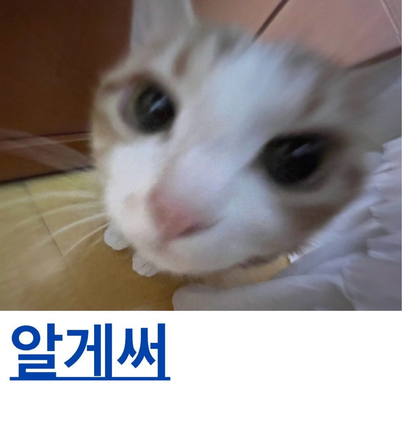 지금 바로 물건 하나만 가져다주실 분