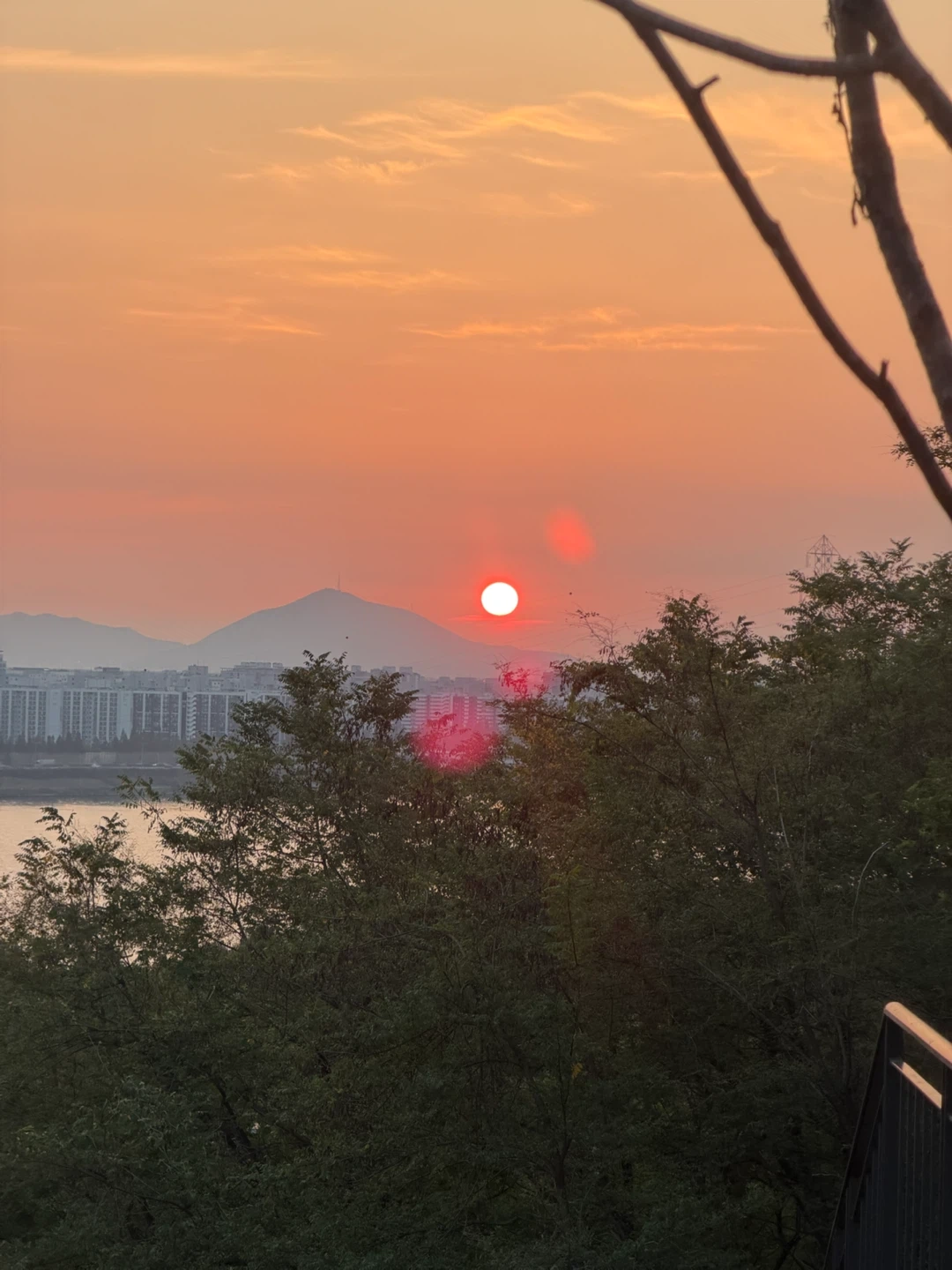 논현역, 학동역 인근 새벽 배송 ! 알바 구합니다.