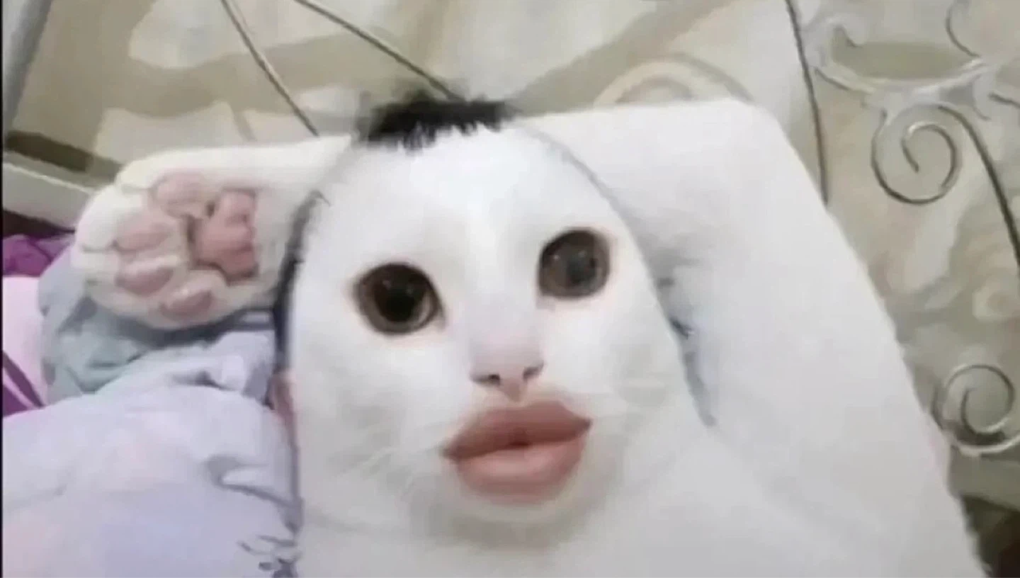 메이크업 국시 모델