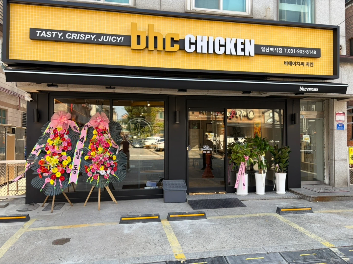 수요일 낮시간 오픈 포장 및 서빙 알바구합니다!