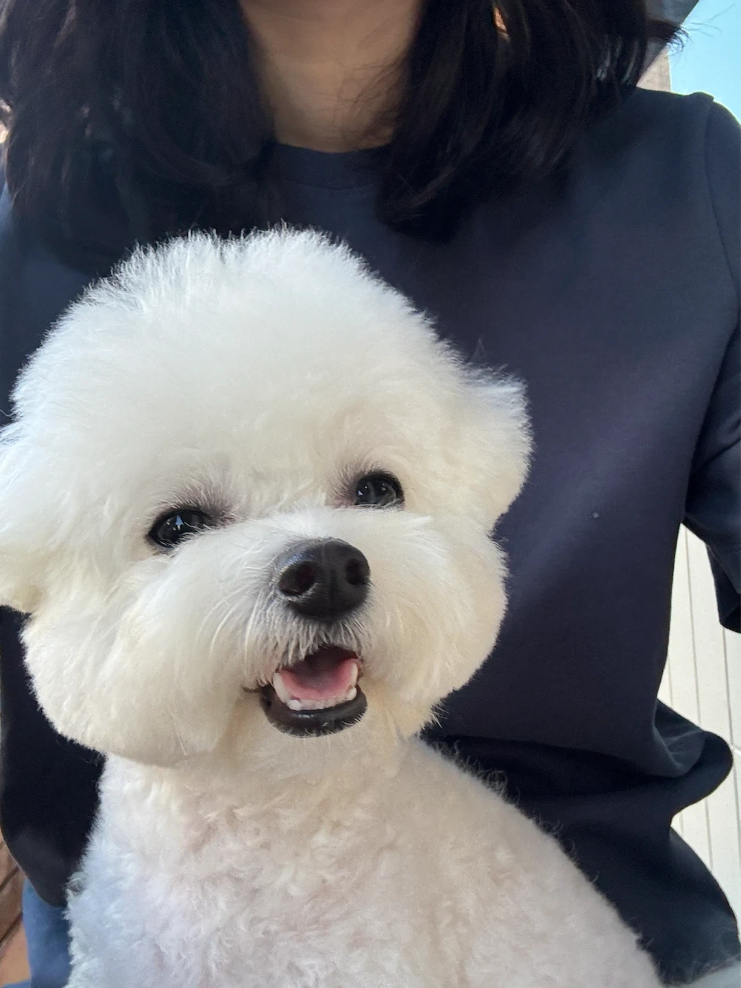 가사도우미 이모님을 구합니다!