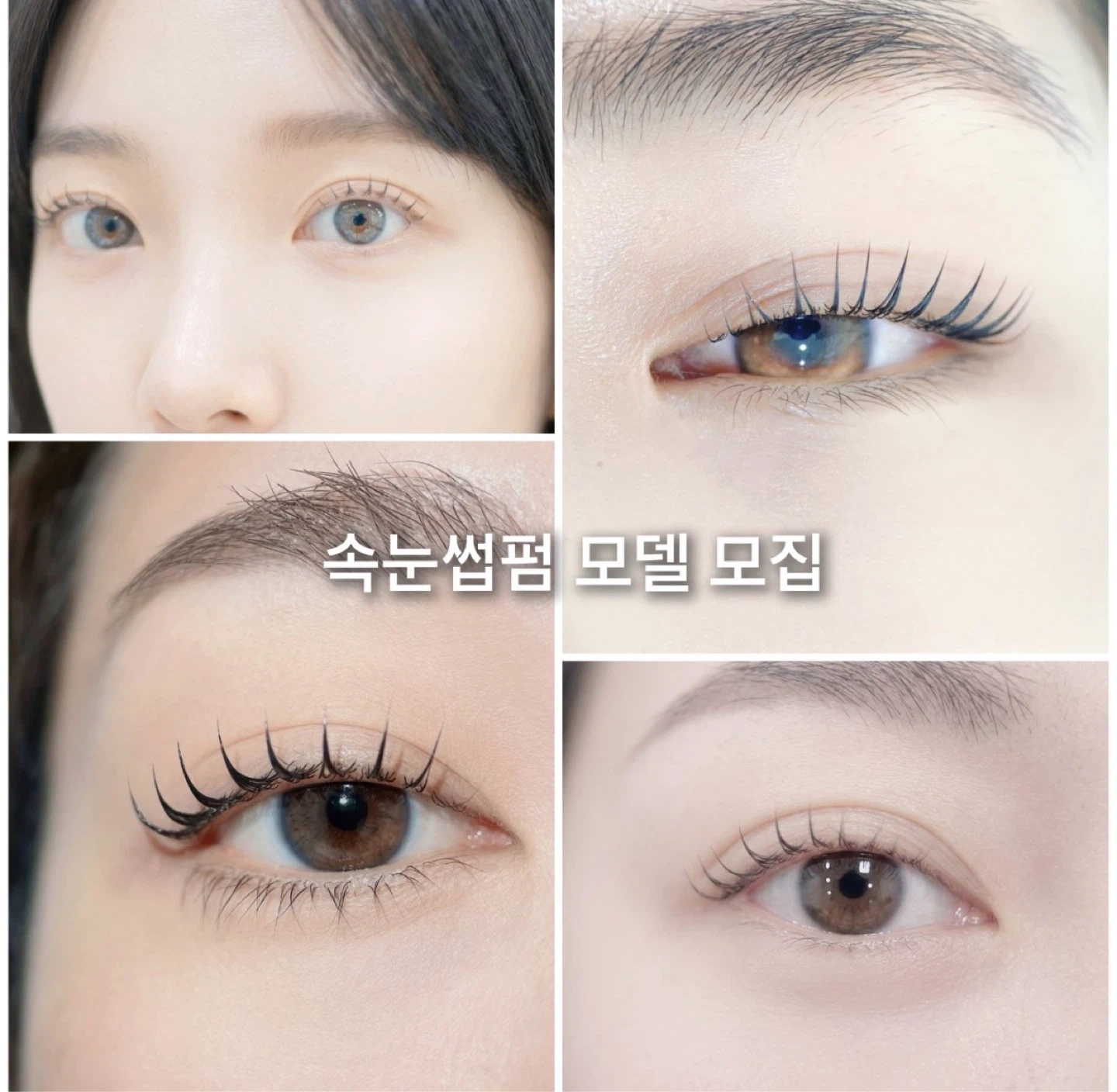 속눈썹펌 시험 연습모델 구해요