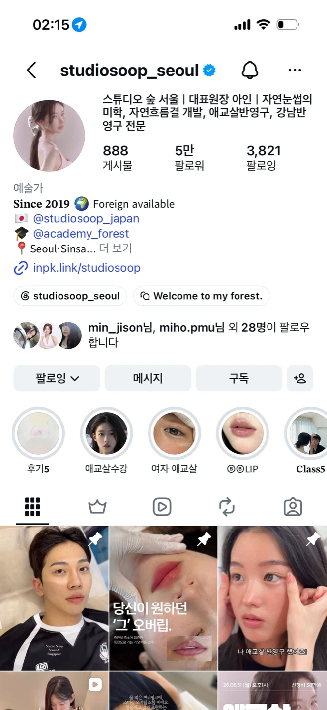 눈썹 디자인 모델