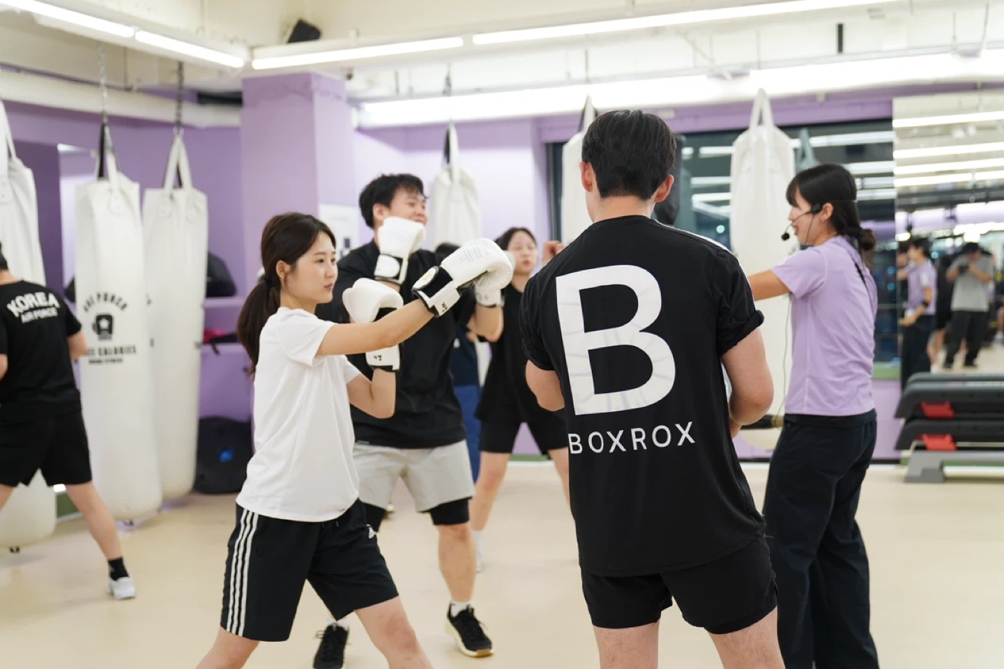 복싱 트레이너 , 트레이너, 체대우대