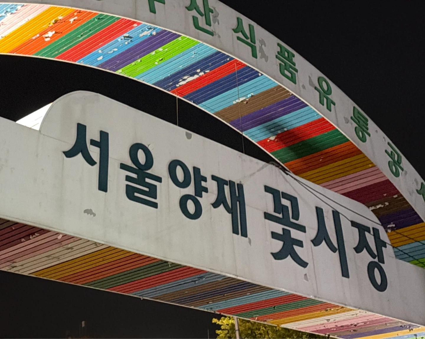 양재꽃시장 직원 구인