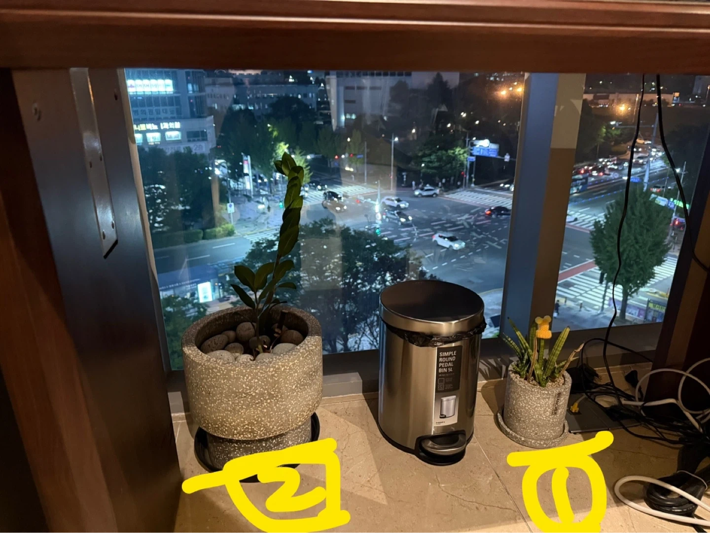 식물 옮겨주기