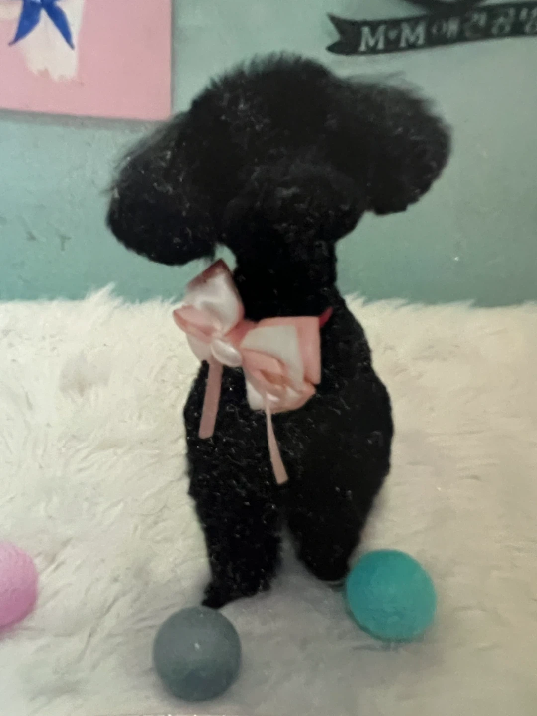 강아지 단기 돌봄