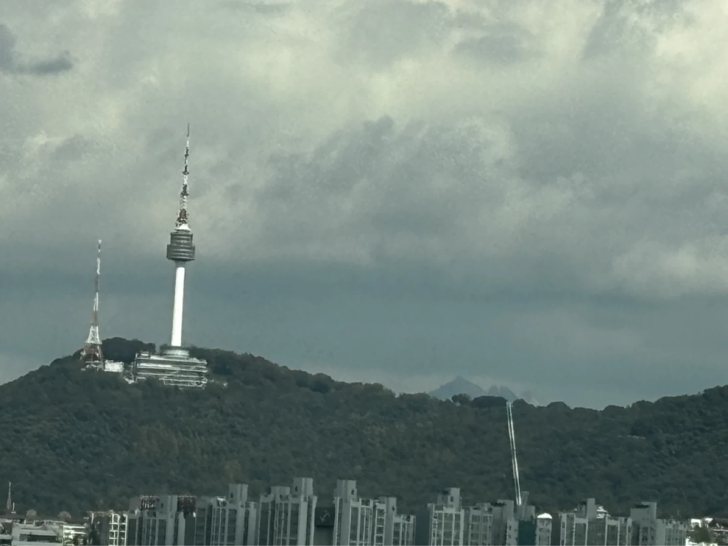 내신 기말 관리(영어 , 통사 , 한국사, 과학..)