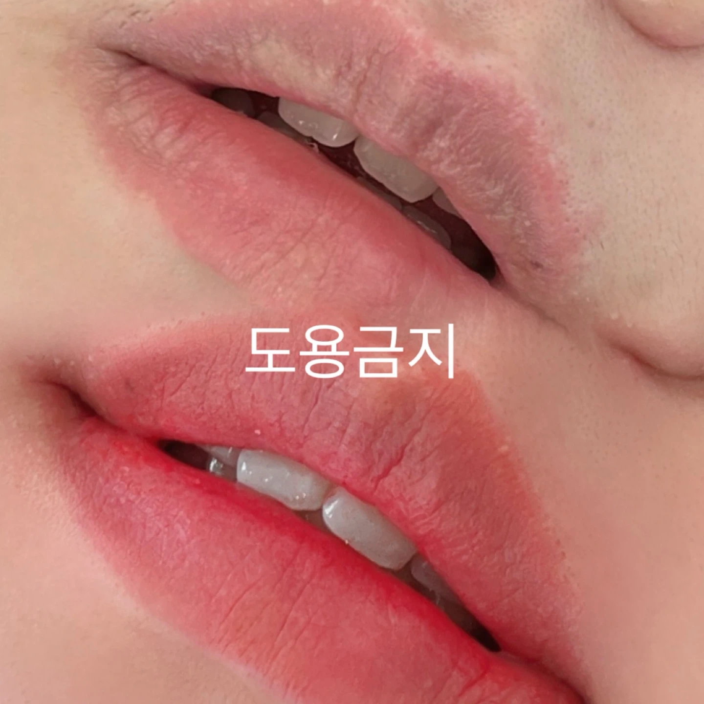 입술모델모집