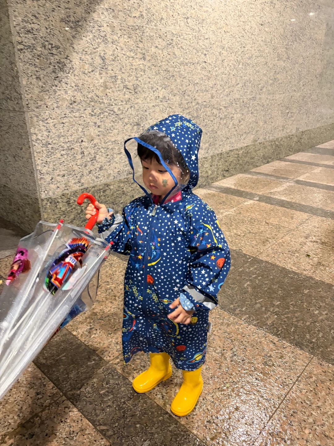 출퇴근 이모님 구합니다. 초2, 5세