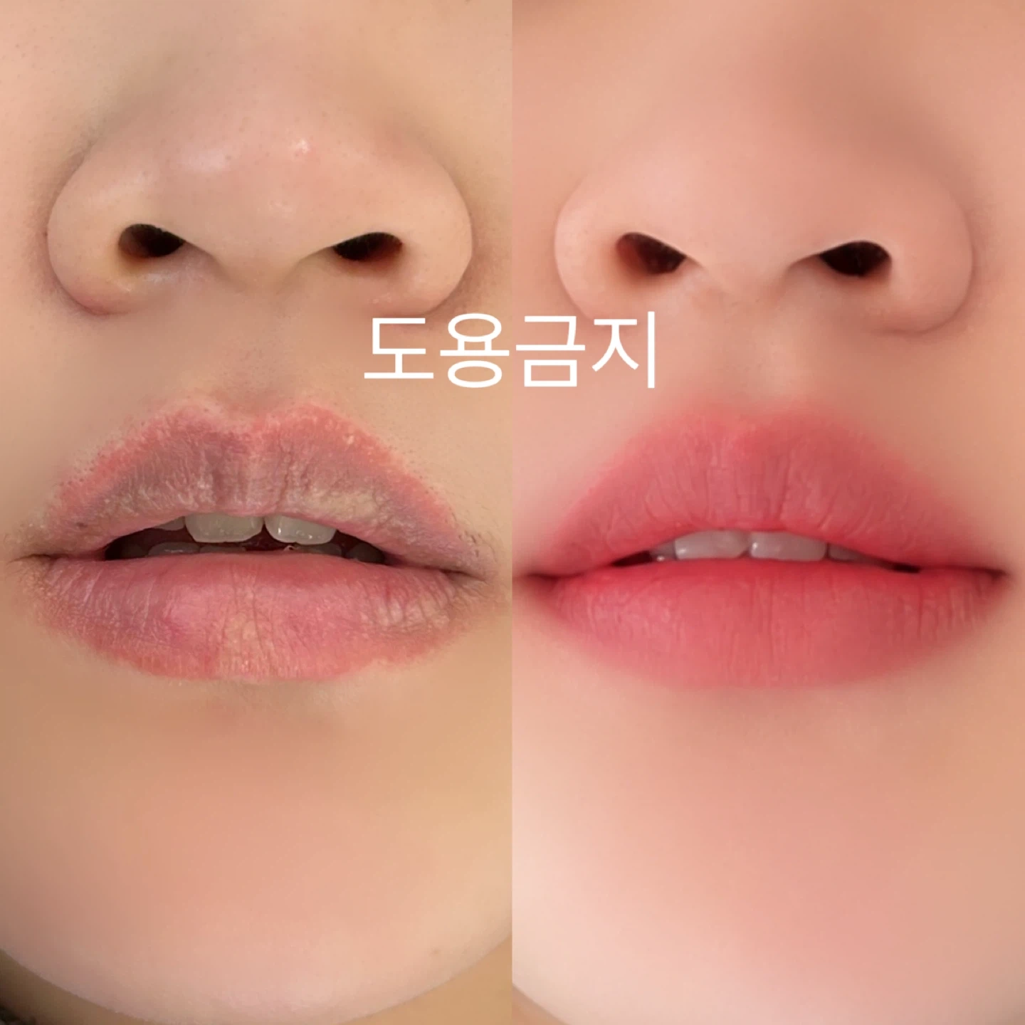 10/26 12시 입술모델모집