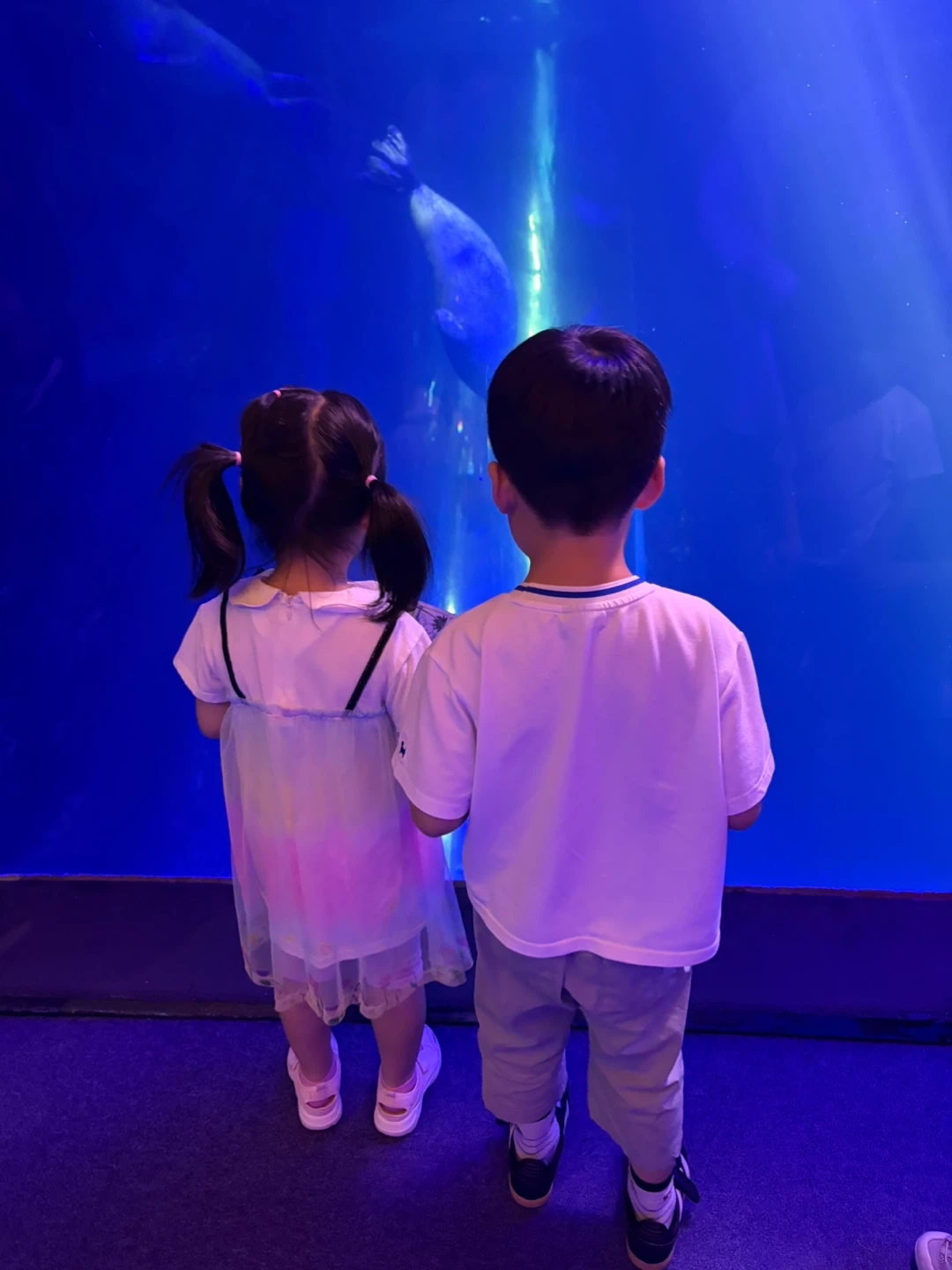 7세/5세 등하원 지도 선생님 모셔요