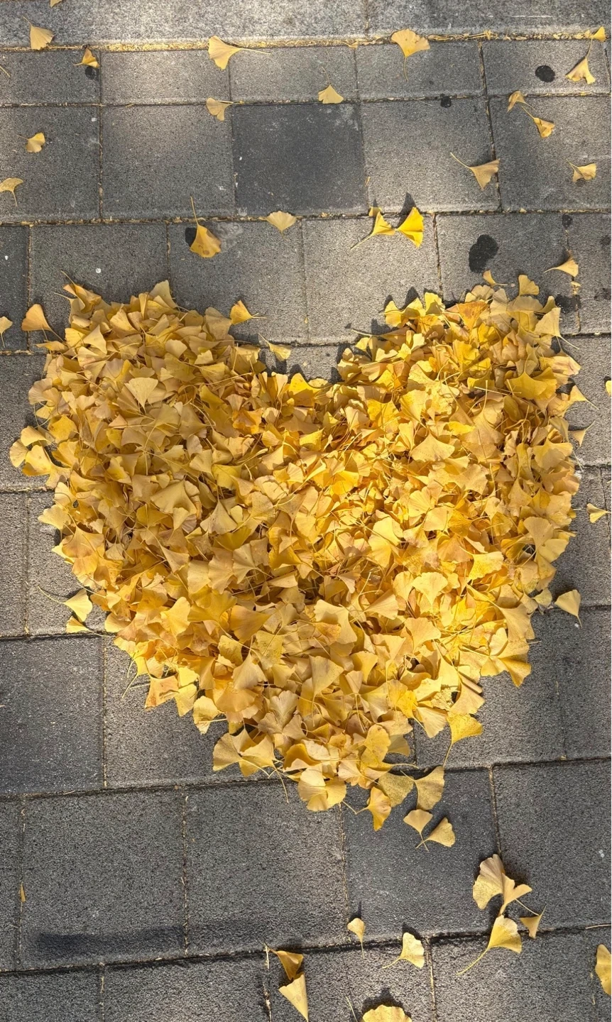 프로페셔널 프로필 사진 찍어주실 분 구해요