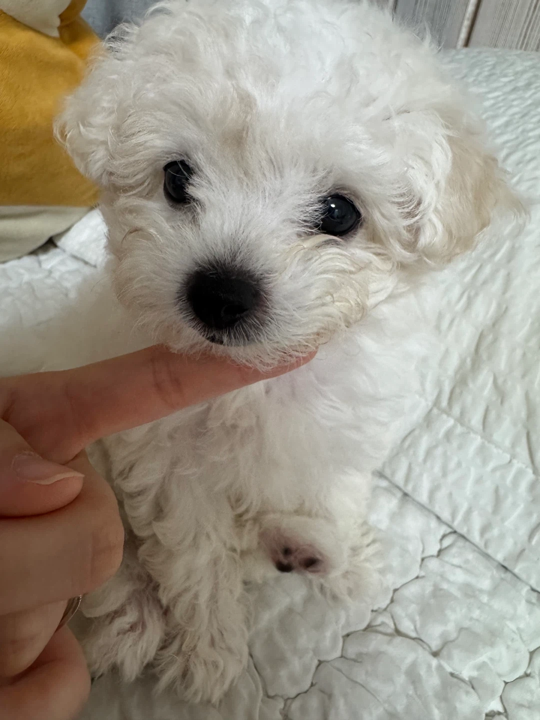 한검1급준비