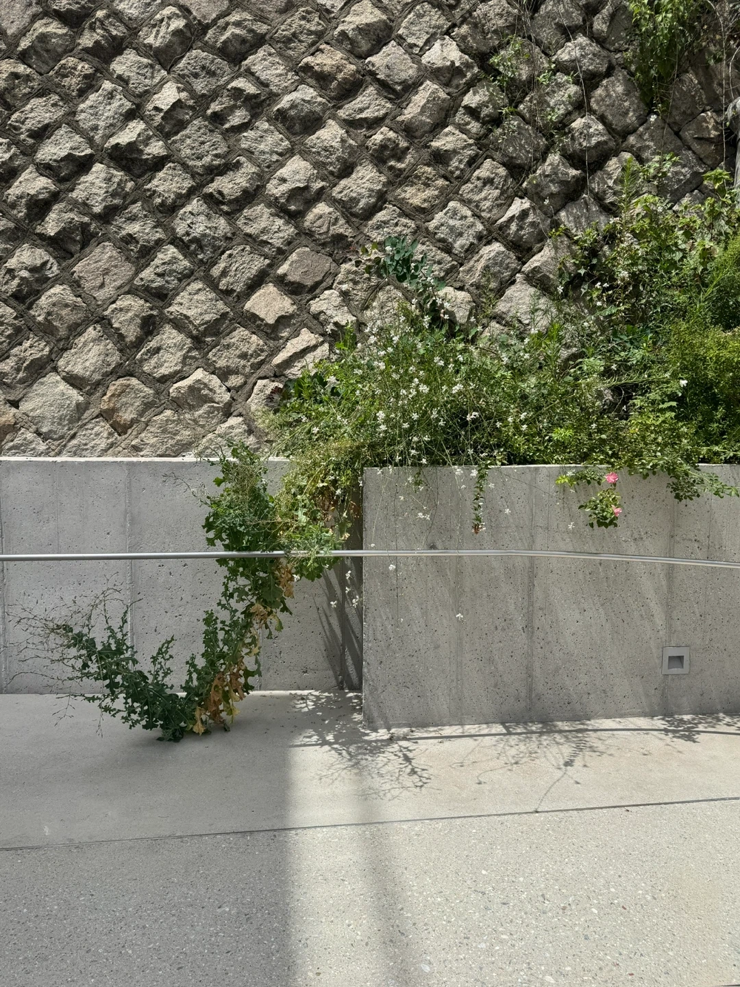 가사 및 집안 정리 도와주실 분을 찾습니다.