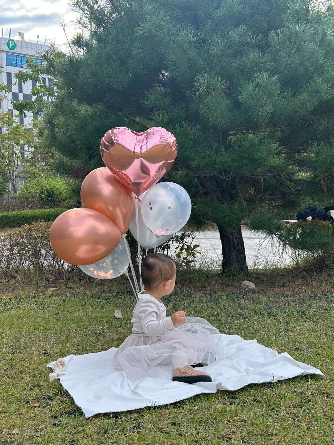 평일 오후 가사 및 아이돌봄 선생님 구합니다 !
