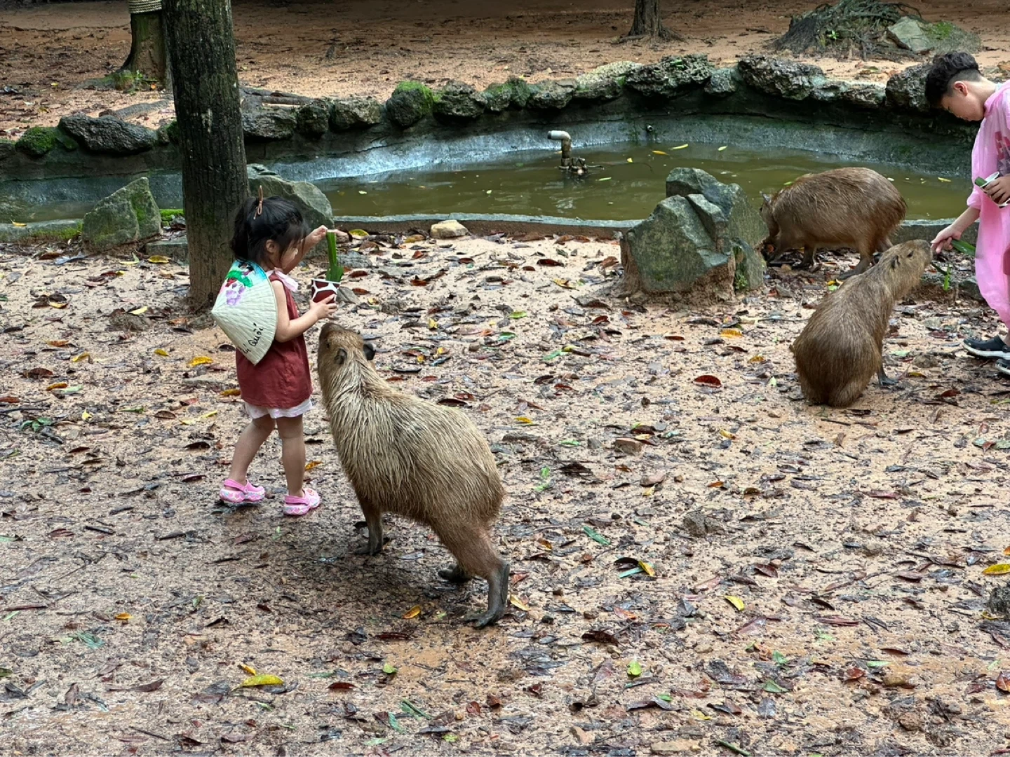 오후) 5세 여아 하원도우미를 모십니다.