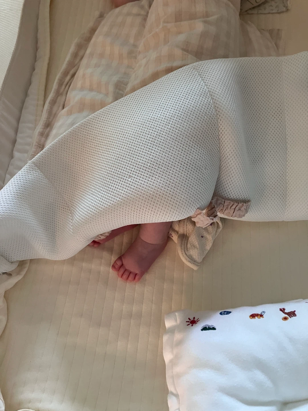 3개월 남여쌍둥이 돌봄 시터 구인(화금)
