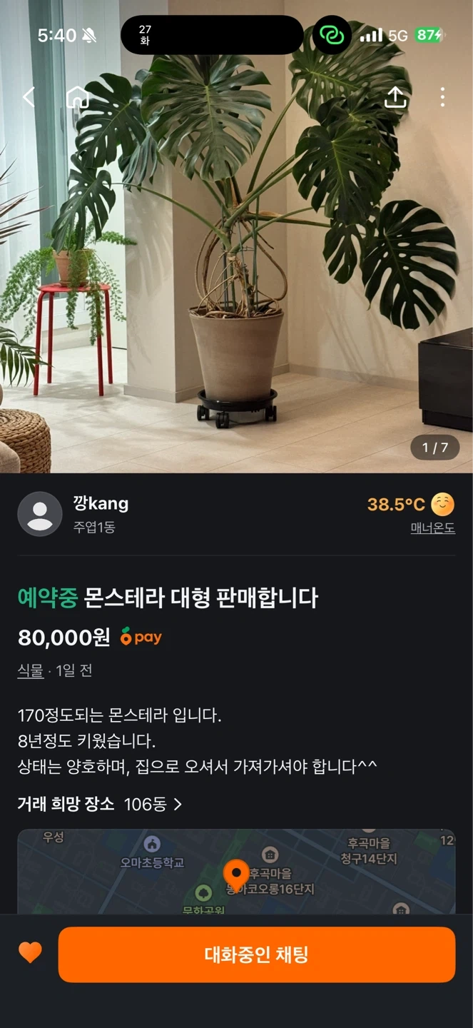 오늘 주엽동에서 운정역으로 화분 가져와주실분