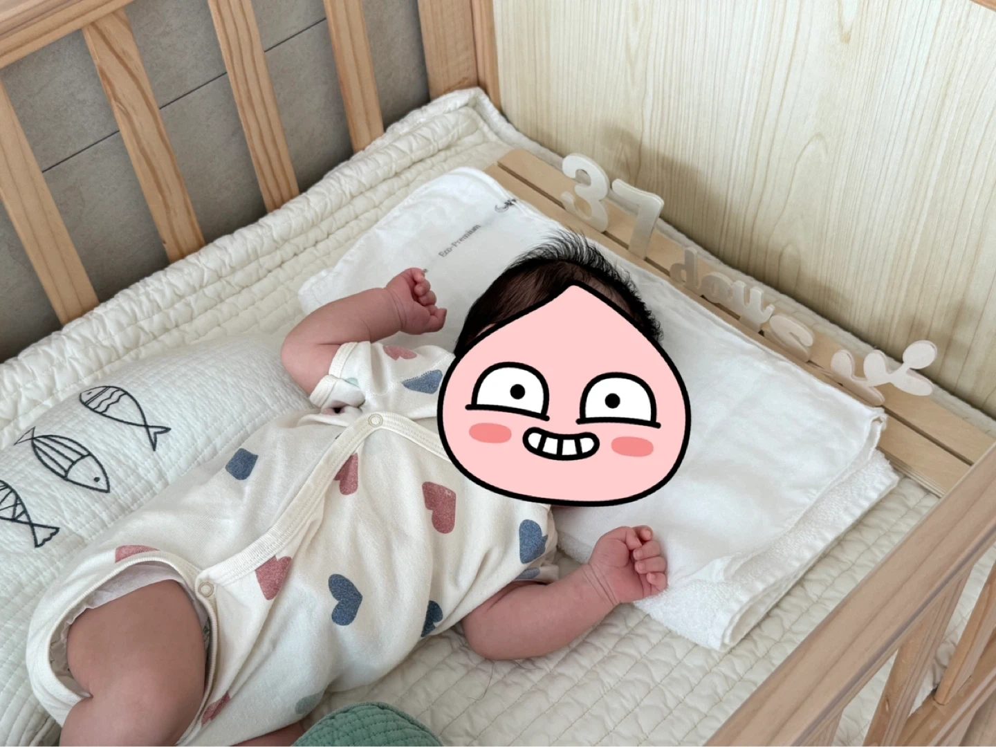 신생아 돌봄 및 식사준비 도와주실분 구해요
