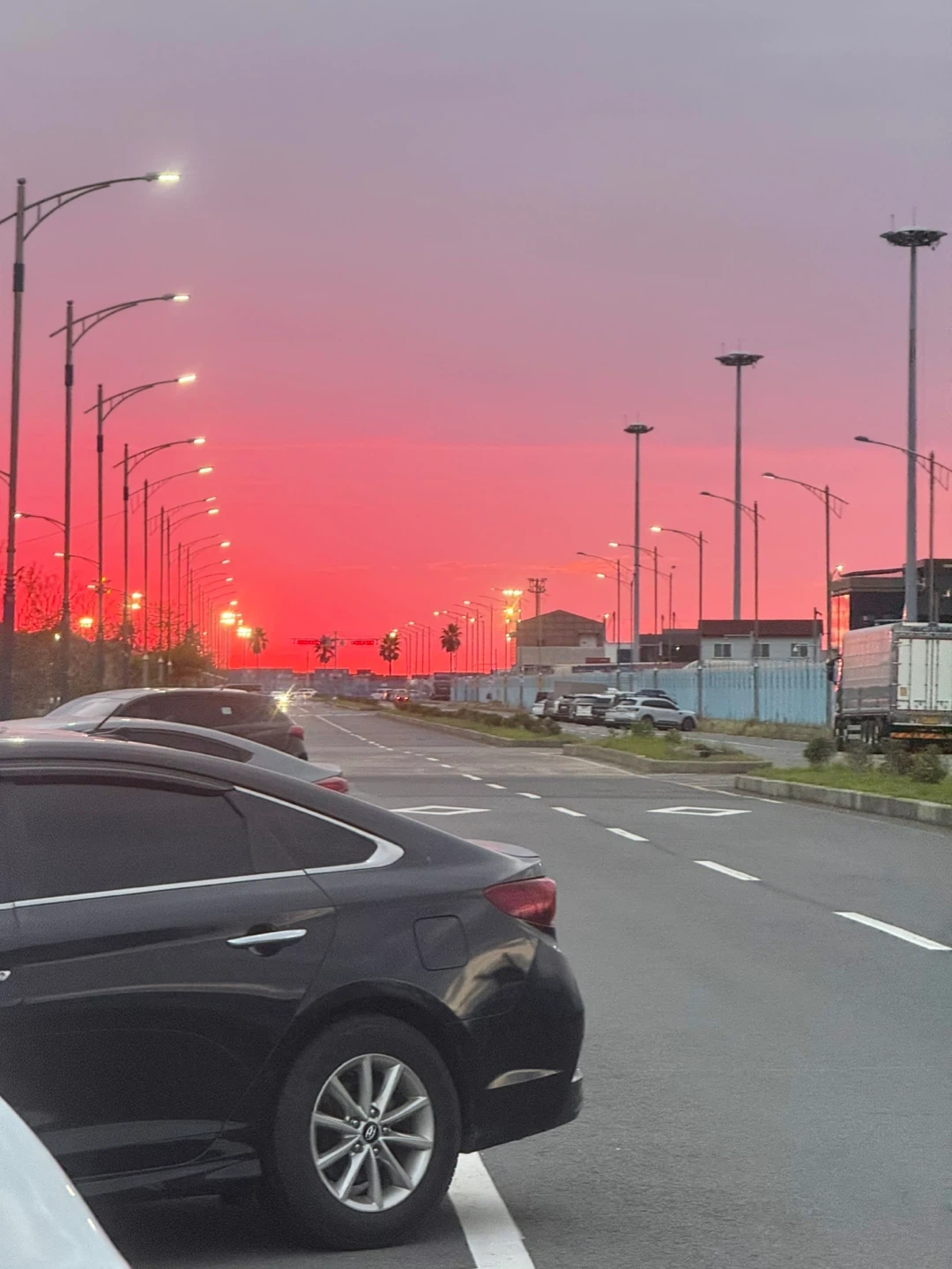 피부 실기 모델