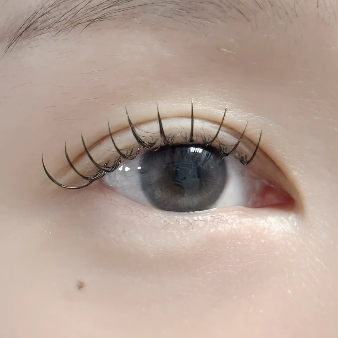 연장후펌 무료모델 구인