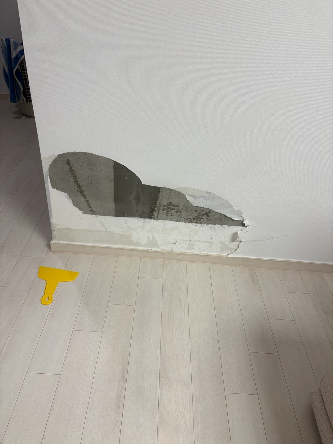 벽지 도배 가능하신분