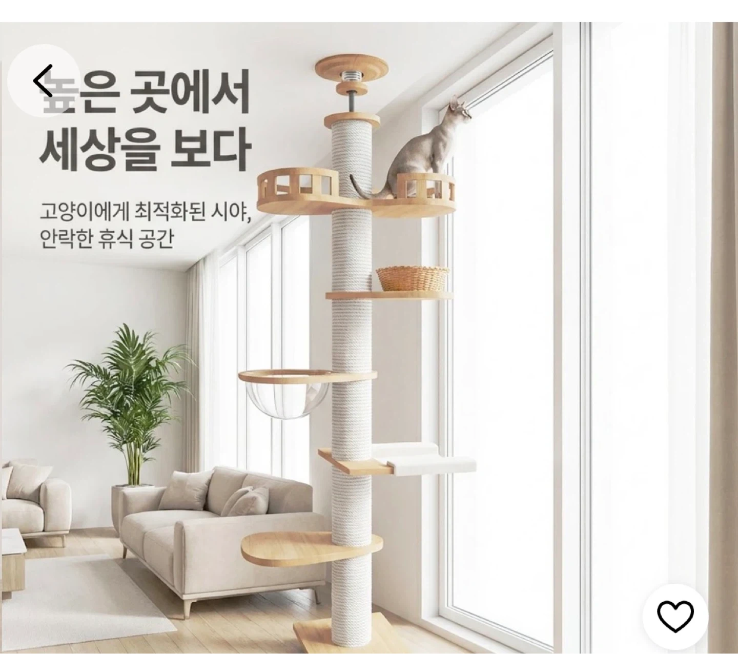 고양이 캣타워 조립해주실분 ?
