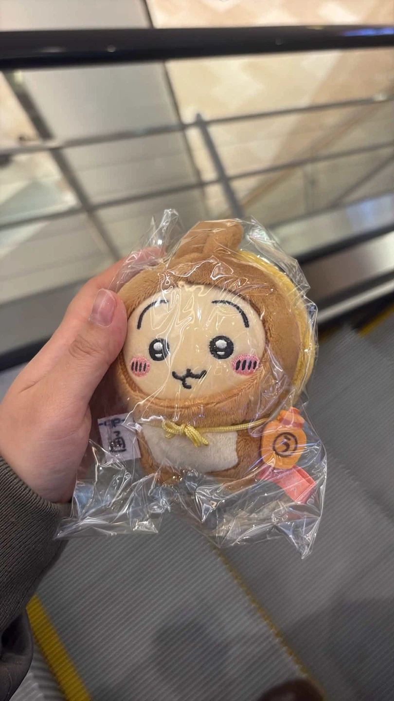 삼성서울병원사거리쪽에서 잃어버린 우사기키링