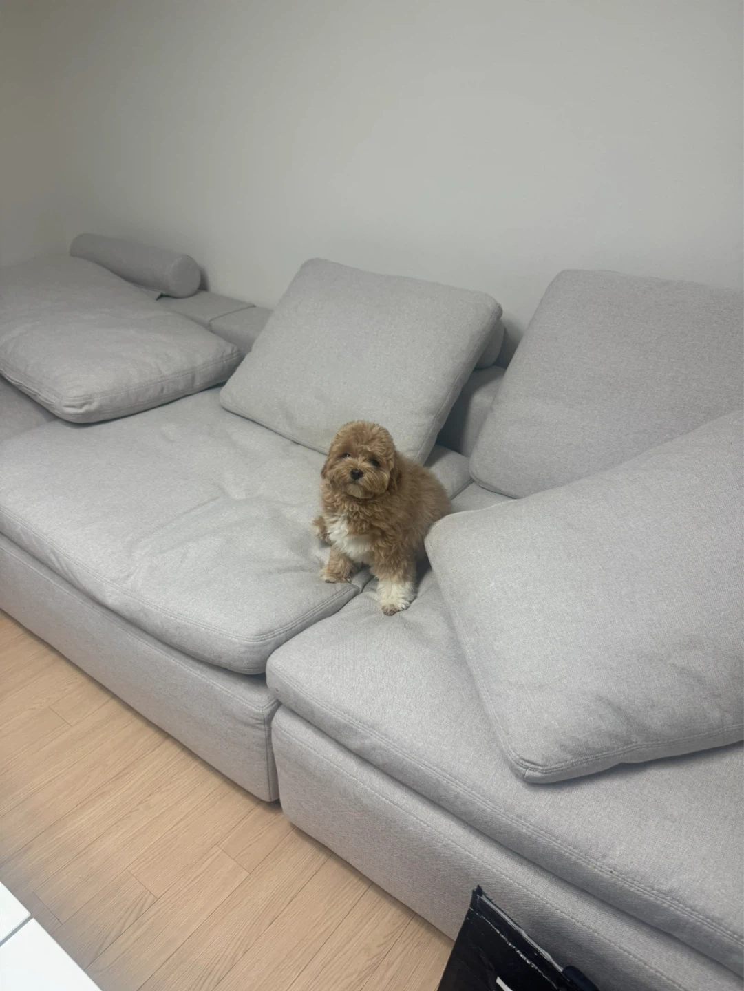 청소 이모 구해요!! 당일 시급 (1.3) 3시간