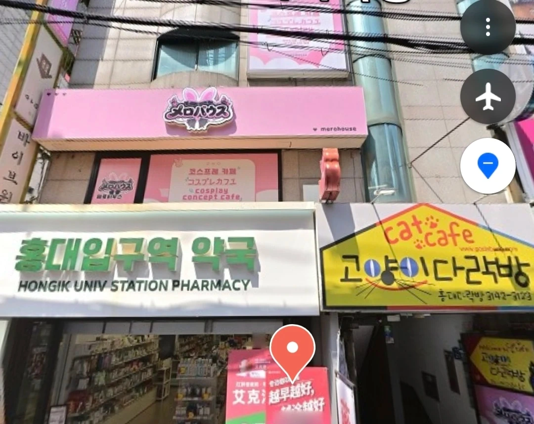 콘셉카페 스태프 구인(꿀알바)