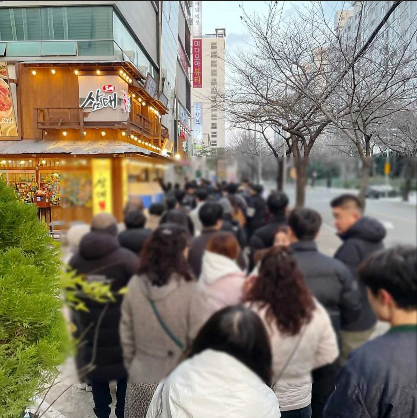 주5일 320만원 (회 기술, 장사 배우실 신입 모집)