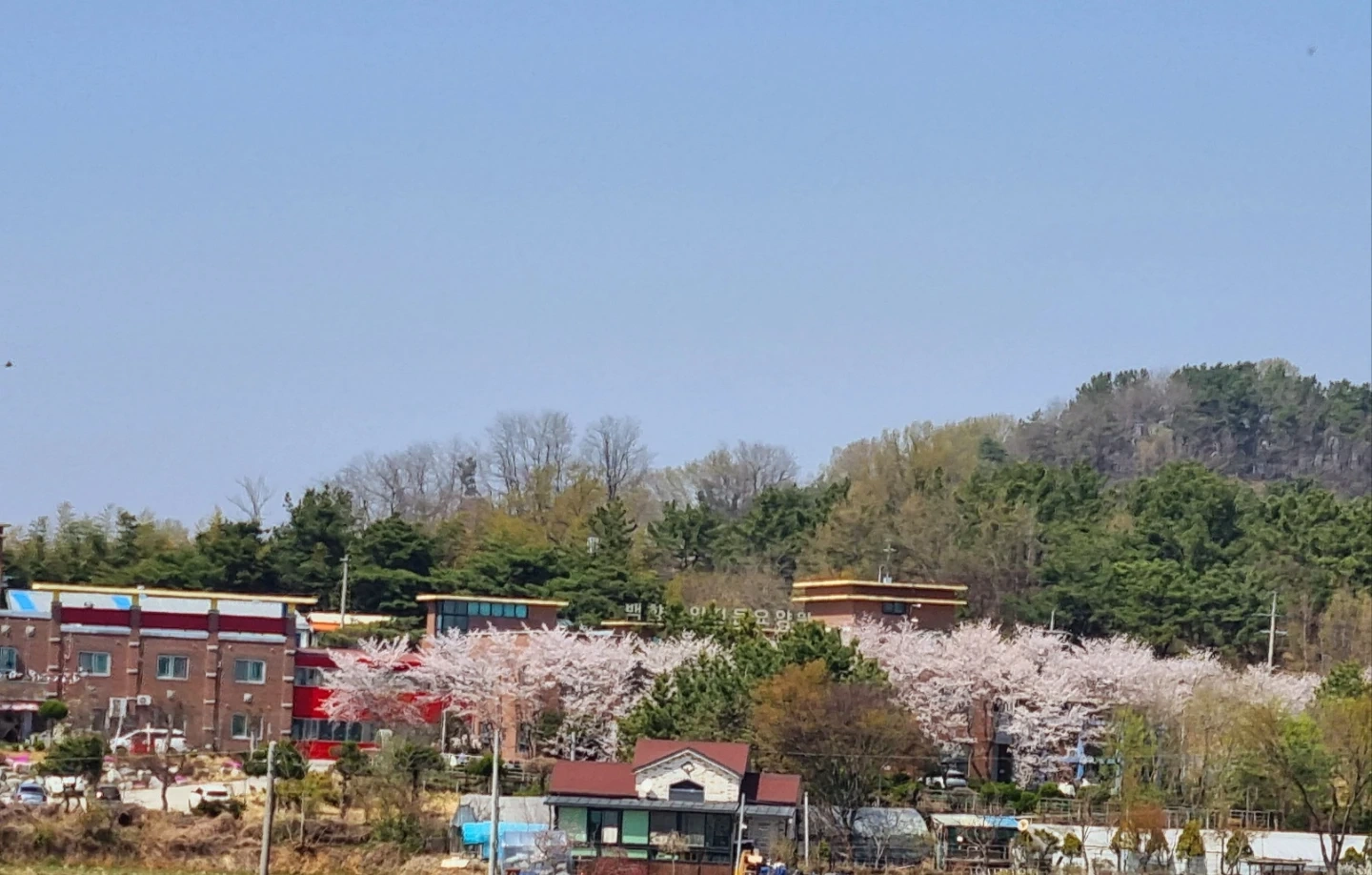 간호사 및 간호조무사님 모셔요