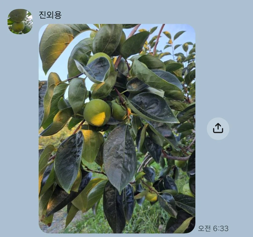 단감운반작업