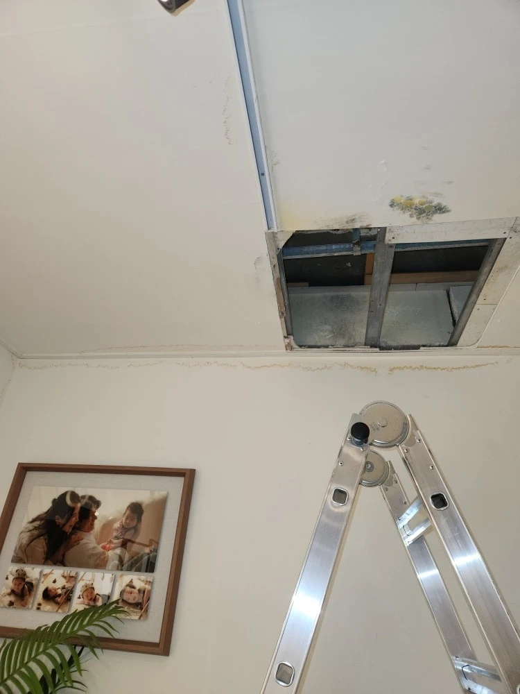 옆면 천장 1면벽지 도배 점검구 일하실분