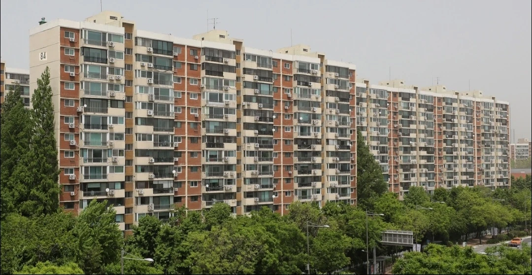 중1 (학원 백업) 국영수과 과외